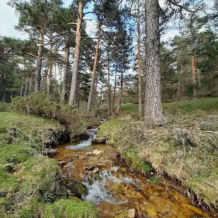 Con Encanto Puerto De Navacerrada Cercedilla